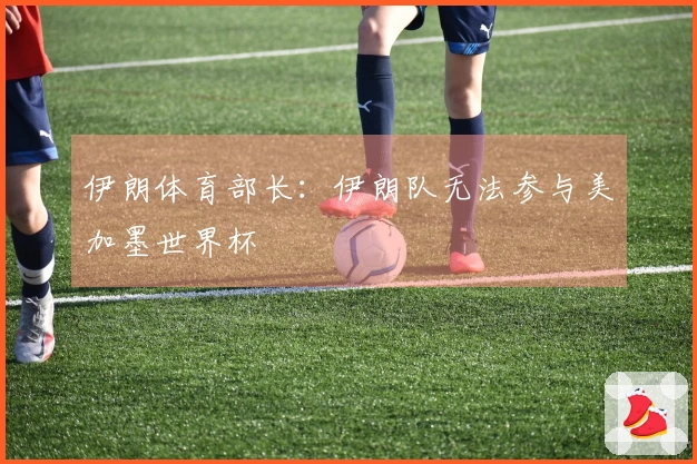 伊朗体育部长：伊朗队无法参与美加墨世界杯